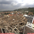 14_00-nest.jpg