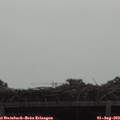 14_05-mast.jpg