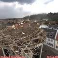 14_05-nest.jpg