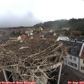 14_10-nest.jpg