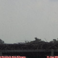 14_15-mast.jpg