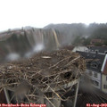 14_15-nest.jpg