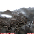 14_20-nest.jpg