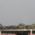 14_35-mast.jpg
