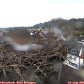 14_35-nest.jpg
