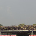 14_45-mast.jpg