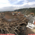 14_55-nest.jpg