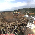 15_10-nest.jpg