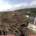 15_15-nest.jpg