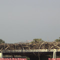 15_20-mast.jpg