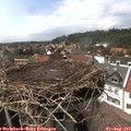 15_25-nest.jpg