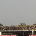 15_30-mast.jpg