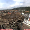 15_30-nest.jpg