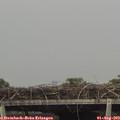 15_35-mast.jpg
