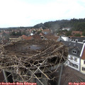 15_35-nest.jpg