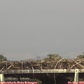 15_40-mast.jpg