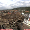 15_40-nest.jpg