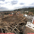 15_45-nest.jpg
