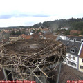 15_55-nest.jpg