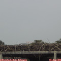 16_00-mast.jpg