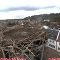 16_00-nest.jpg