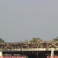 16_05-mast.jpg