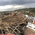 16_05-nest.jpg