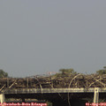 16_10-mast.jpg