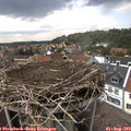 16_10-nest.jpg