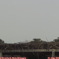 16_15-mast.jpg