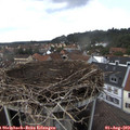 16_15-nest.jpg