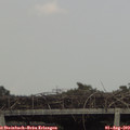16_20-mast.jpg