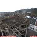 16_20-nest.jpg
