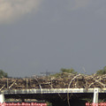 16_25-mast.jpg