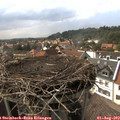 16_25-nest.jpg
