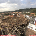 16_30-nest.jpg