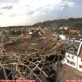 16_35-nest.jpg