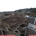 16_40-nest.jpg