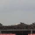 16_45-mast.jpg