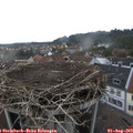 16_45-nest.jpg