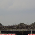 16_50-mast.jpg