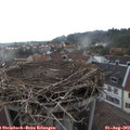 16_50-nest.jpg