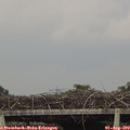 16_55-mast.jpg