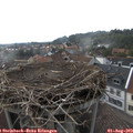 16_55-nest.jpg