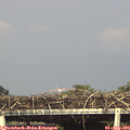 17_05-mast.jpg
