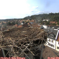 17_05-nest.jpg