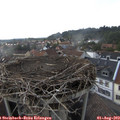 17_10-nest.jpg