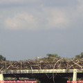 17_15-mast.jpg