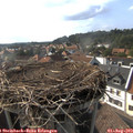 17_15-nest.jpg