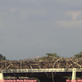 17_20-mast.jpg